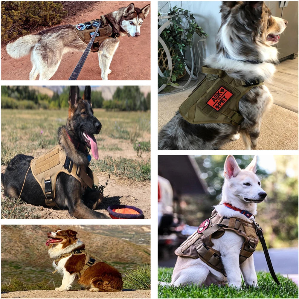Large Dog Collar Military Dog Harness Leash Molle Pouches Pet Training Vest Tactical Harnesses Dogs Accessories