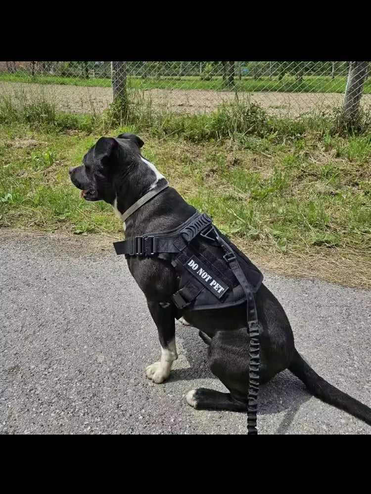 Large Dog Collar Military Dog Harness Leash Molle Pouches Pet Training Vest Tactical Harnesses Dogs Accessories