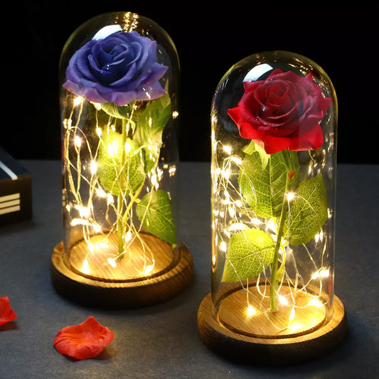 2022 LED Enchanted Galaxy Rose Eternal 24K Gold Foil Flower With Fairy String Lights