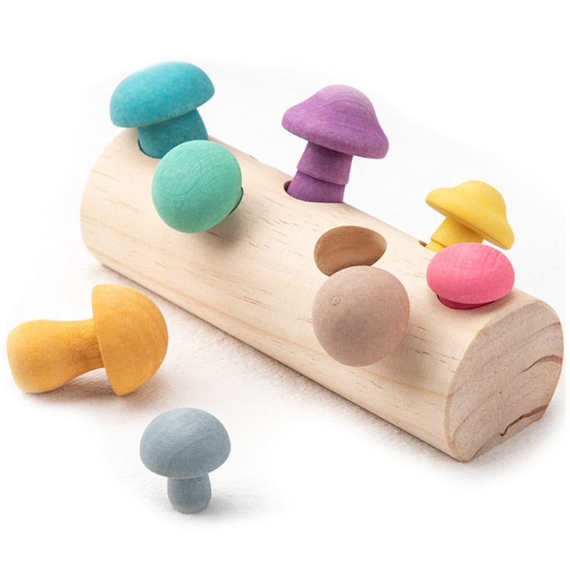 Montessori Wooden Rainbow Blocks Mushroom Picking Game