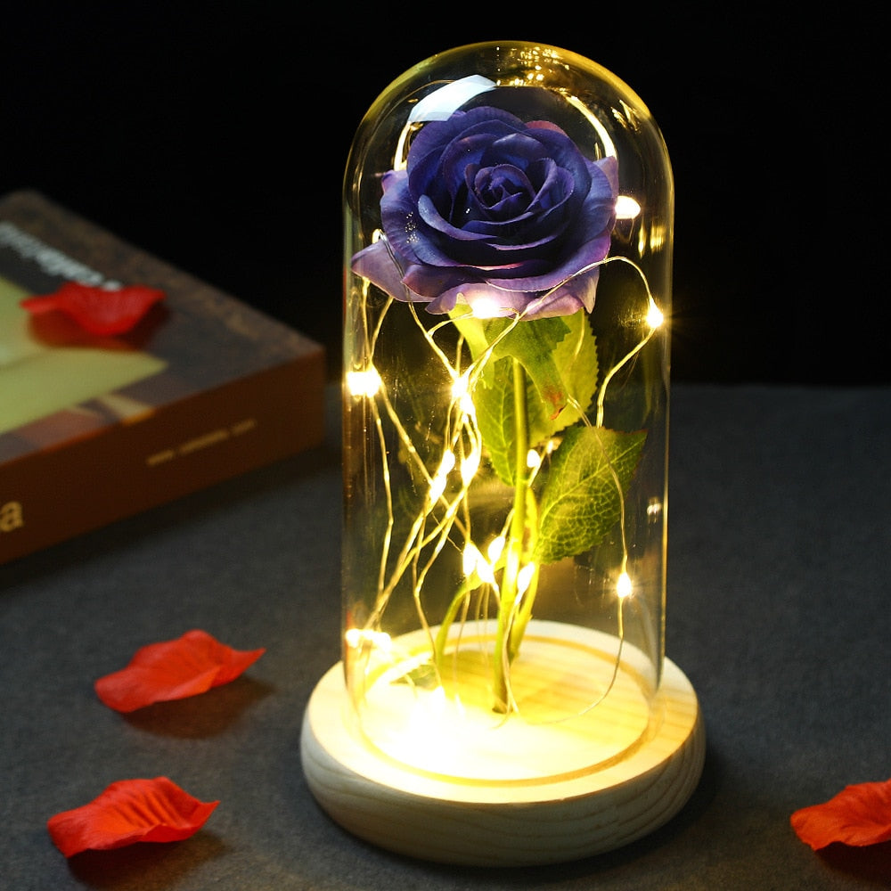 LED Enchanted Galaxy Rose Eternal