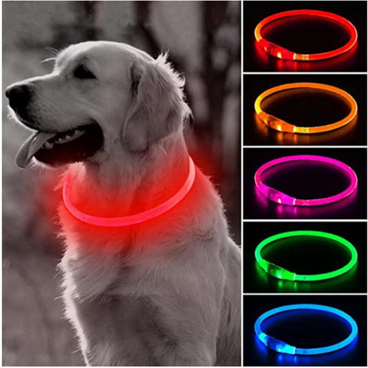 Led Light Dog Collar W/ USB Charging